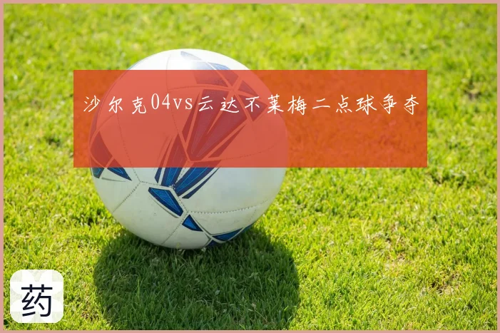 沙尔克04vs云达不莱梅二点球争夺